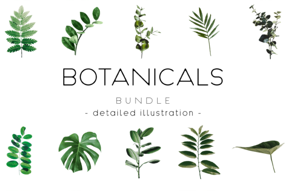The Botanical Bundle: 10 Realistic Plant Illustrations
