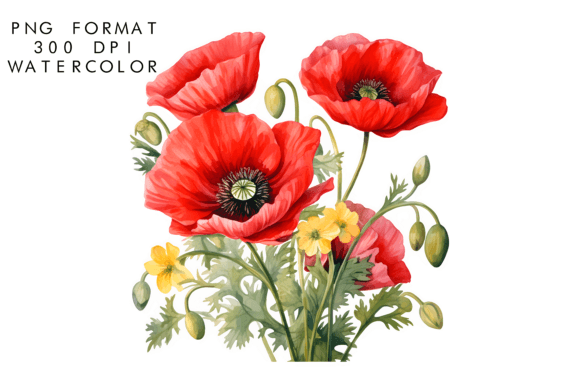 Watercolor Poppy Flower Clipart: Nature's Artistic Touch